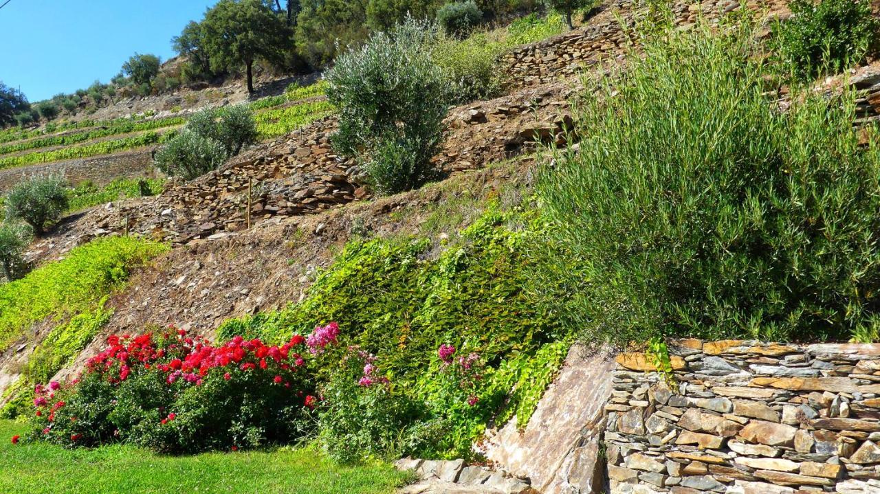 Country house Quinta da Salgueira Alijó Exterior foto